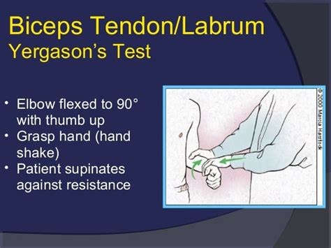 The Painful Adult Shoulder Evidence Based History Exam And Approach