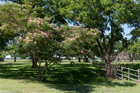 Texas Photos Part Of The Grounds Of The Lyndon B Johnson Ranch