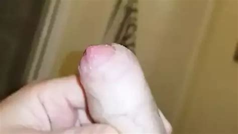 Free Cock Cheese Gay Porn Videos XHamster