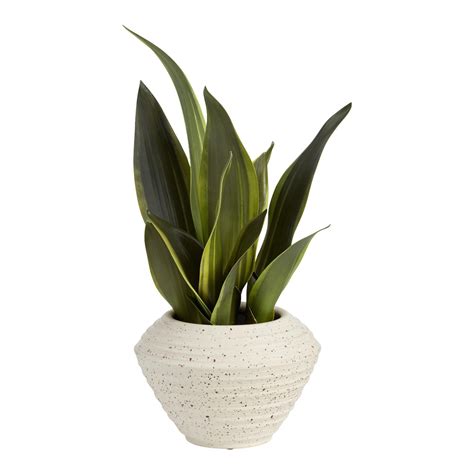 Faux Snake Plant In Speckled Pot Snake Plant Faux Plants Faux