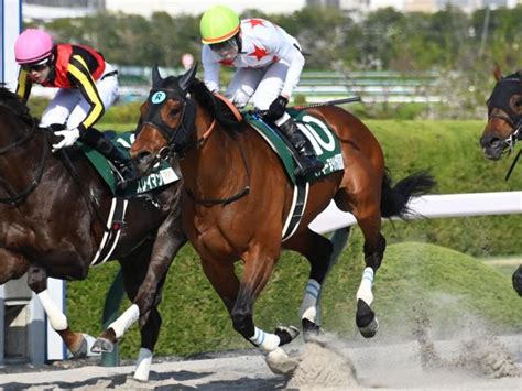 【画像】【平安s見どころ】6歳馬でもまだ進化中、ミッキーヌチバナの連勝を期待 ライブドアニュース