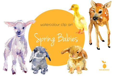 Watercolour Spring Baby Animals Clip Art Hand Painted Animals - Etsy