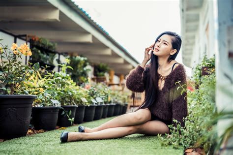 4K Asian Sitting Bokeh Legs Brunette Girl HD Wallpaper Rare Gallery