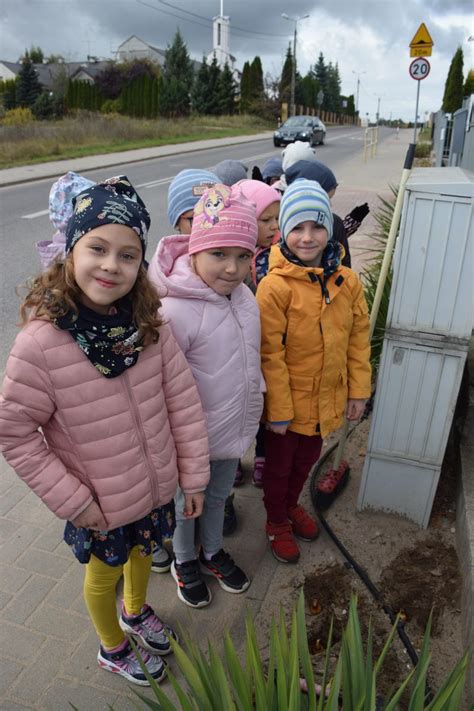 Pola Nadziei Sadzenie Onkili Nied Wiadki Je Ykowe Przedszkole Os