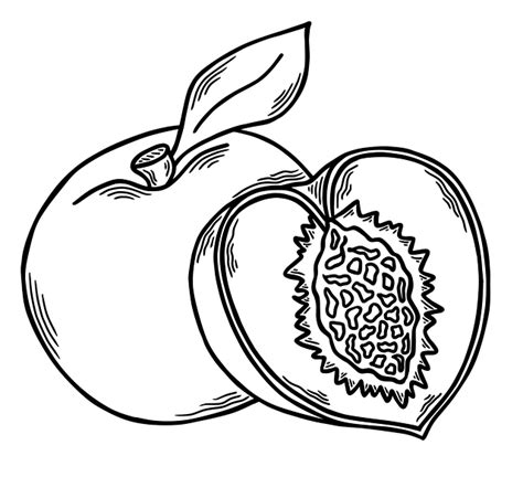 Peach Clip Art Black And White