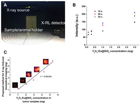 X Rl Image For Deep Tissue Imaging Activated By X Ray A X Rl Imaging