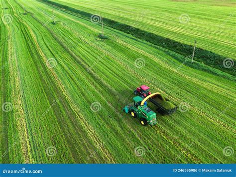 Corte De Ensilado De Pasto En El Campo Recolector De Forraje John