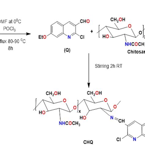 Synthetic Pathway For Synthesis Of Chitosan Quinoline Schiff Base