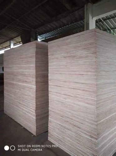 Eucalyptus Mr Bwp Bwr X Feet Neem Plywood For Furniture Grade