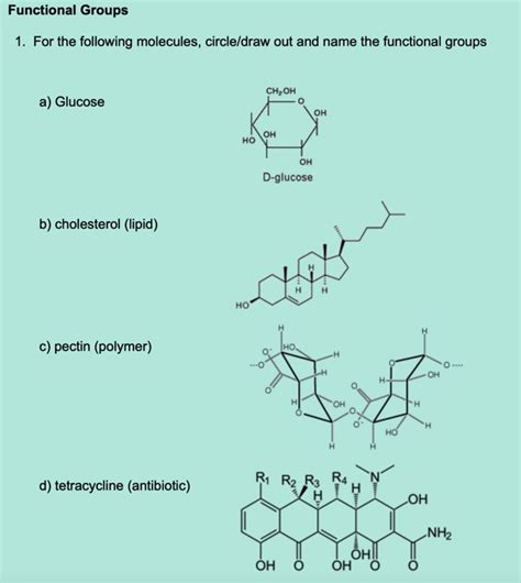 Solved Functional Groups 1 For The Following Molecules Circledraw Course Hero