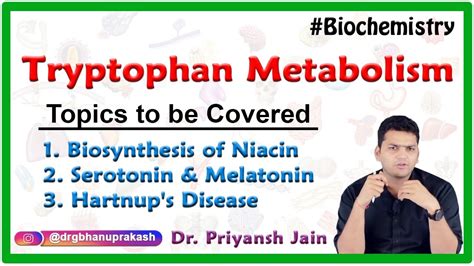 Tryptophan Metabolism Biosynthesis Of Niacin Serotonin And Melatonin