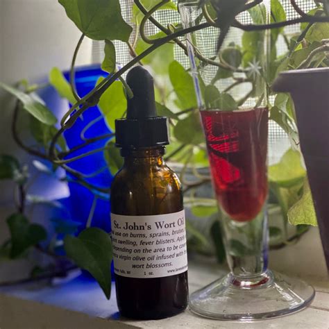 St. John's Wort Oil – Lavender Moon Herb Gardens