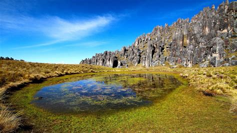 Bosque de Piedras de Huayllay la gran maravilla del Perú Blog