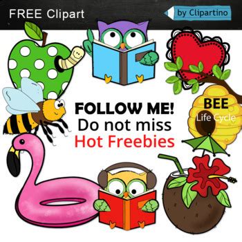 Apple Life Cycle Free Clipart By Clipartino Teachers Pay Teachers