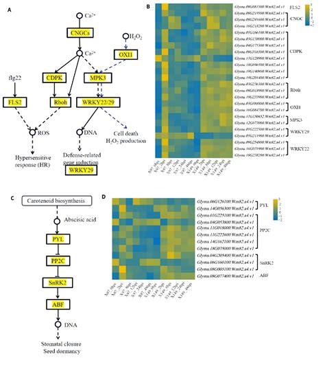 Figure From Wgcna Reveals Hub Genes And Key Gene Regulatory Pathways