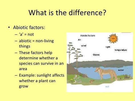 Abiotic and biotic factors