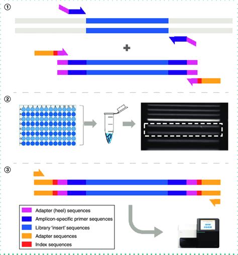 High Pure Pcr Template Preparation Kit