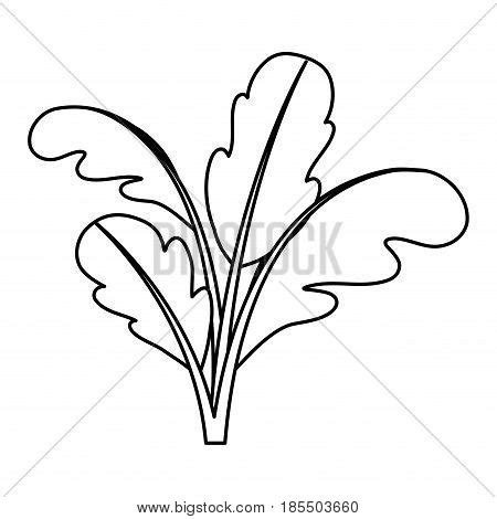 Black Silhouette Beet Vector Photo Free Trial Bigstock