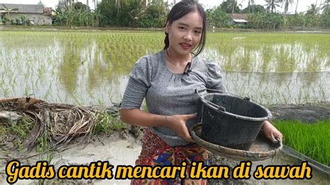 Asik Nya Mencari Ikan Di Sawah YouTube