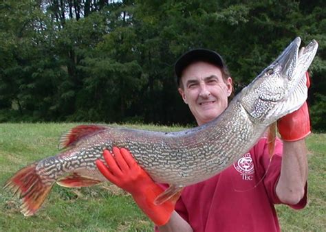 Wawayanda State Park Fishing - All About Fishing