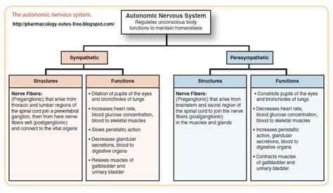 Autonomic Nervous System Pharmacology Balerion The Black Dread