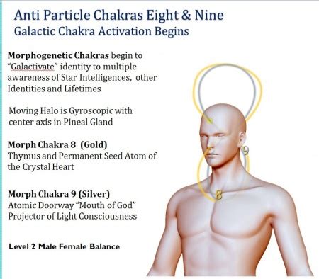 Pineal Gland - Ascension Glossary