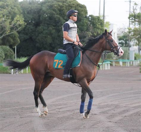 【新潟2歳ステークス展望】東京マイルの初戦の内容が絶品だったアライバルが中心 Umatoku 馬トク