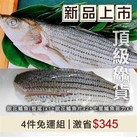 【頂級鱸魚綜合4件免運組】 安心銀花鱸魚整尾x1安心頂級銀花鱸魚片x2安心七星鱸魚菲力x1蝦愛鮮