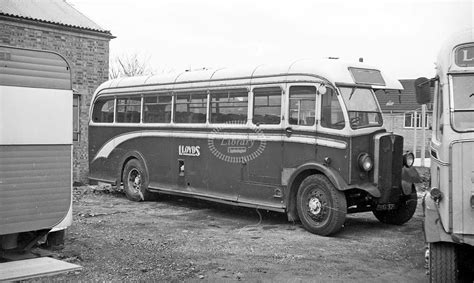 The Transport Library Lloyd Nuneaton Aec Regal I Dmo At Operator S