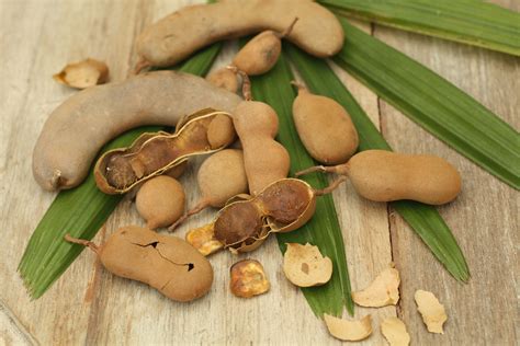 Tamarindo Fruta Ex Tica Que Da Salud Entre Hispanas