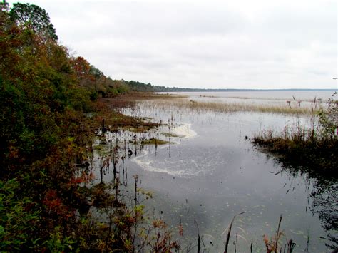 Elevation of Lake Waccamaw, NC, USA - Topographic Map - Altitude Map