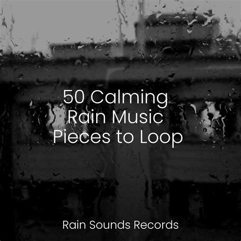 50 Calming Rain Music Pieces to Loop - Rest & Relax Nature Sounds ...