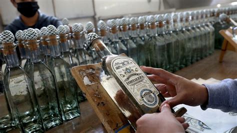 Consejos Para Exportar Tequila Con Xito