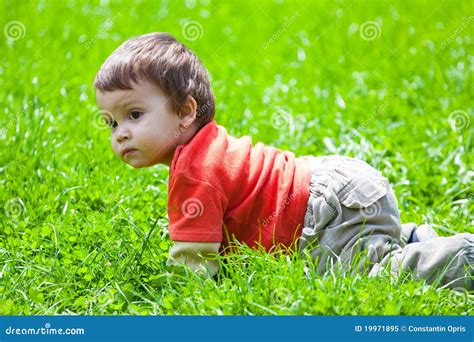 Baby Crawling In Grass Stock Image Image Of Nature Child 19971895