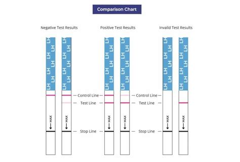 Ovulation Test Strip Chart Printable