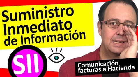 Optimizaci N De Errores En El Registro De Facturas Recibidas En El Sii