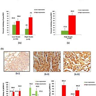 Representative Images Of Immunohistochemical IHC Staining Of Pan RAS