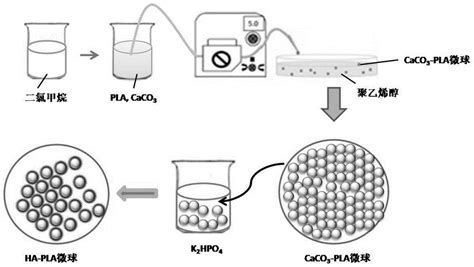 聚乳酸 羟基磷灰石微米纳米多级结构复合微球材料及应用的制作方法