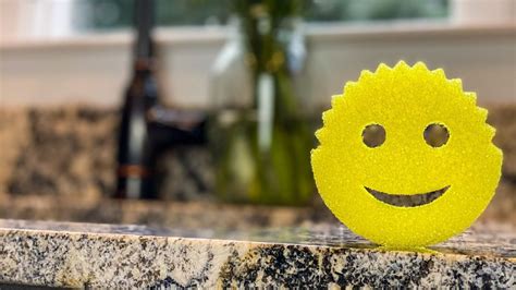 Whatever Happened To Scrub Daddy Sponge After Shark Tank Season 4