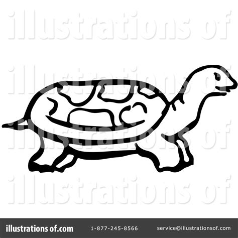 Tortoise Clipart 1224241 Illustration By Picsburg