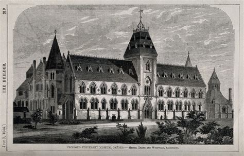 University Museum Oxford Proposed Sketch Wood Engraving By W E