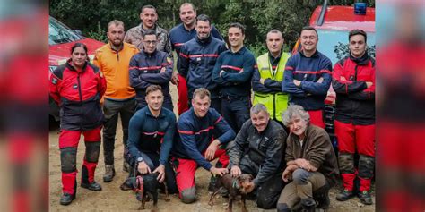 Deux chiens de chasse coincés dans un terrier sauvés par les pompiers à