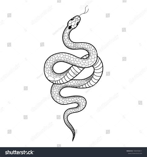 12 820 Serpente tattoo 이미지 스톡 사진 및 벡터 Shutterstock