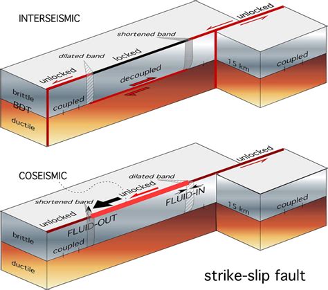 An Interseismic And Coseismic Model For An Ideal Strike Slip Fault