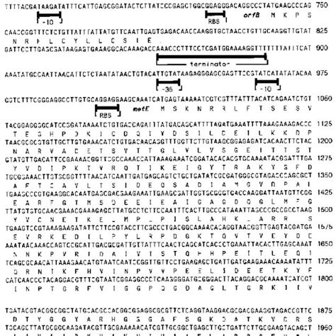 B. subtilis strains and plasmids | Download Table