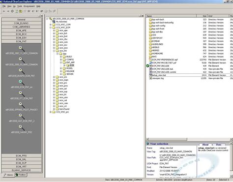 Intro Au Gestionnaire De Source Rational Clearcase