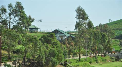 Ooty Hotels Hotel Destiny Farm Stay Hotel Destiny Farm Stay In Ooty