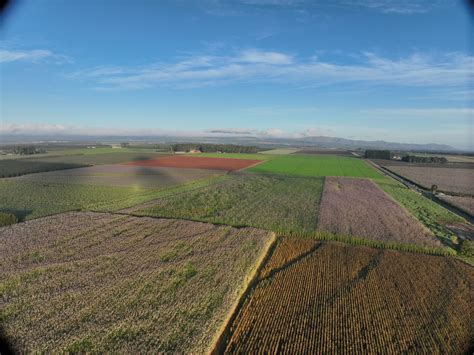 Sugar High - Transforming Sugarcane Farming with Drones - NQ Commercial ...