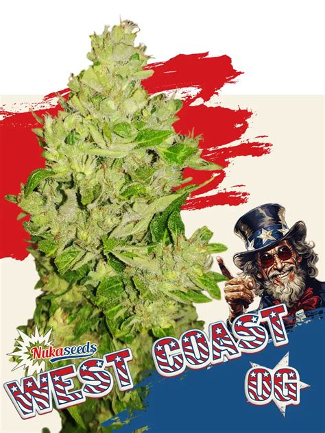 Sem Nka Konop West Coast Growshop Nukaseeds