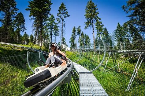 Weekday Afternoon Coaster Ride Review Of Flathead Lake Alpine Coaster